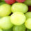 Endeavour and Treasury now set to finally sell vineyards