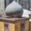 Friedman taps Savills to lead leasing for Bally’s Headquarters