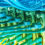 Endeavour now set to sell Dan Murphy’s customer data