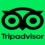 TripAdvisor bans horse racing tickets over animal welfare concerns